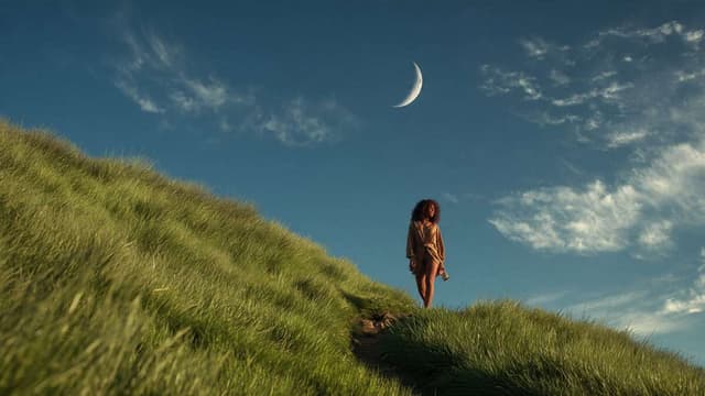 Blog article illustration